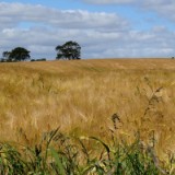 1406F 046 Ostseekuesten Radweg